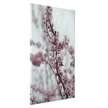 Spring Cherry Blossom Flowers Gallery Wrapped Canvas