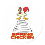 Spring Chicken Round Stickers