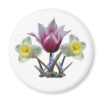Spring Collage 1 ~ magnet