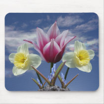 Spring Collage 2 ~ mousepad