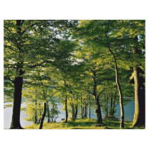 Spring colour, Rydal, Lake District, England Flyer
