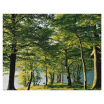 Spring colour, Rydal, Lake District, England flyers