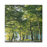 Spring colour, Rydal, Lake District, England Refrigerator Magnet