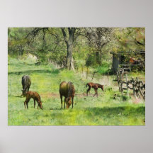 Spring Colts Print