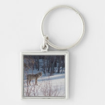 Spring Coyote Keychains