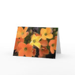 spring creations greeting card