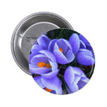 Spring Crocus CricketDiane Flowers Products Pins