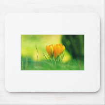 Spring Crocus Mousepads