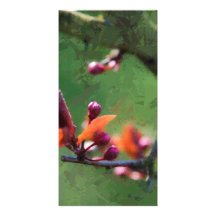 Spring Custom Photo Card