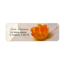 Spring Daffodil Return Address Label