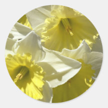 Spring Daffodil Stickers