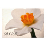 Spring Daffodil Wedding RSVP Response Card Custom Invitation
