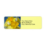 Spring Daffodils Address Labels stickers Floral
