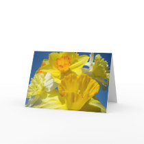 Spring Daffodils Flowers Greeting Cards Daffodils