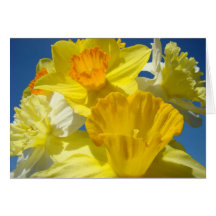Spring Daffodils Flowers Greeting Cards Daffodils