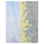 Spring daffodils, Shrewsbury, Shropshire, England Custom Letterhead