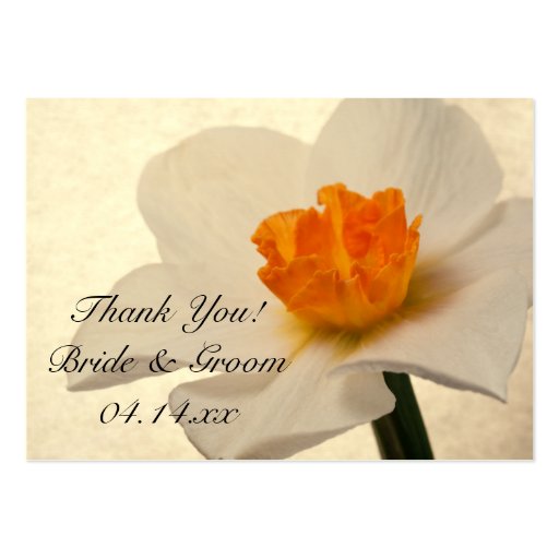 Spring Daffodils Wedding Favour Tags Business Cards