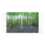 Spring Dawn photo cards