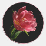 Spring Double Bloom Tulip Envelope Seal Sticker stickers