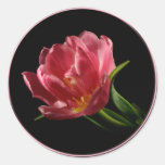 Spring Double Bloom Tulip Envelope Seal Sticker stickers