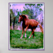Spring Dreams, Sorrel Trotting Posters