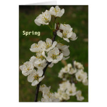 SPRING ENCOURAGEMENT note card