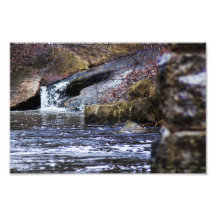 Spring falls photograph