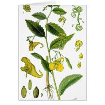 Spring Floral Greeting Cards