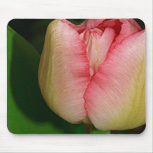 Spring Flower Tulip Mouse Pad