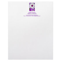 Spring flowering Senetti flowers macro shot Letterhead