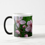 Spring Flowers 4 MORPHING MUG MUGS