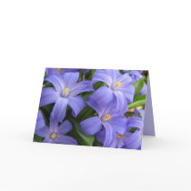 Spring Flowers Birthday