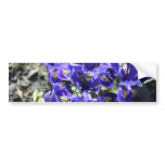 Spring Flowers Bumper Stickers