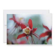Spring Flowers Columbine Personalized Invites