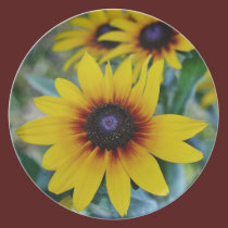 Spring Flowers plates
