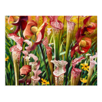 "Spring Flowers" Floral Watercolor Art postcards