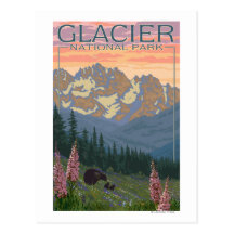 Spring Flowers - Glacier National Park, MT Post Card