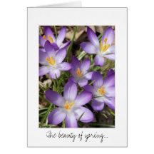 Spring Flowers Greeting Card