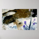 Spring Flowers in Snow Run-Off Print