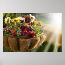 Spring flowers poster