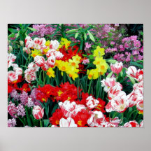 "Spring Flowers" Poster