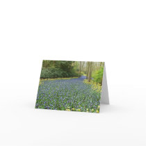 Spring flowers - River of Hyacinths Card