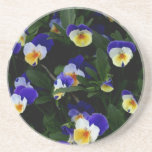 Spring Flowers Sandstone Coaster