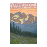 Spring Flowers - Yellowstone National Park Canvas Print