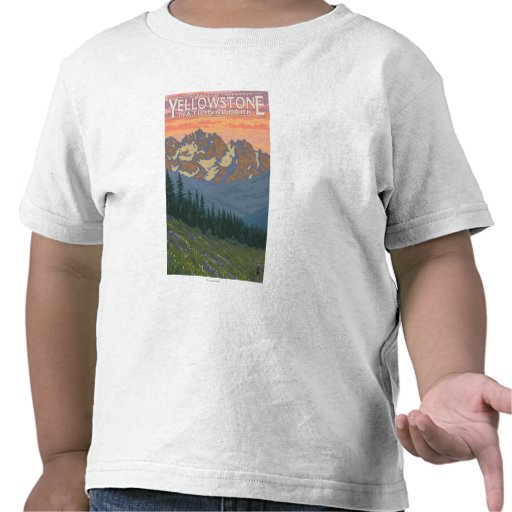 Spring Flowers - Yellowstone National Park T-shirts