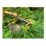Spring for Tea Ceremony, Sanzen-in Temple, Postcard