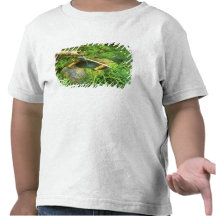 Spring for Tea Ceremony, Sanzen-in Temple, Tee Shirts
