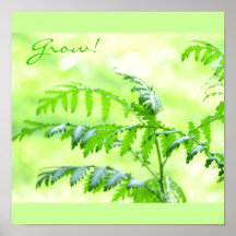 Spring Forth Poster