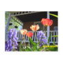 SPRING GARDEN POST CARD