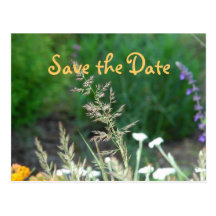 Spring Garden Save the Date Post Cards